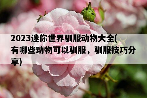 2023迷你世界馴服動物大全，有哪些動物可以馴服，馴服技巧分享-圖1