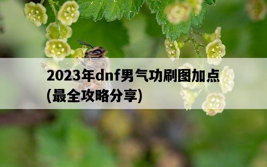 2023年dnf男氣功刷圖加點，最全攻略分享-圖1