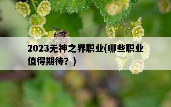 2023無神之界職業，哪些職業值得期待？-圖1