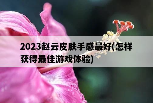 2023趙云皮膚手感最好，怎樣獲得最佳游戲體驗-圖1