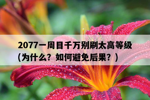 2077一周目千萬別刷太高等級，為什么？如何避免后果？-圖1