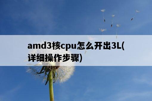 amd3核cpu怎么開出3L，詳細操作步驟-圖1