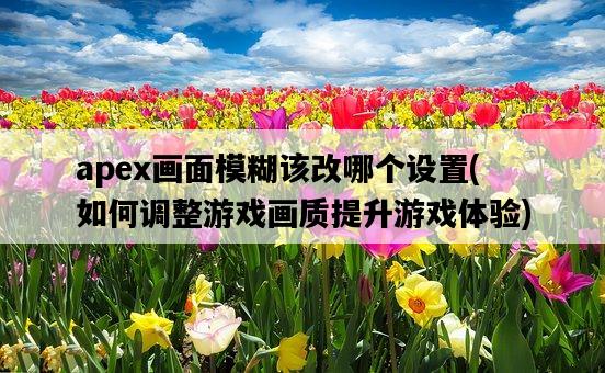 apex畫面模糊該改哪個設置，如何調整游戲畫質提升游戲體驗-圖1