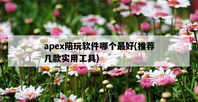 apex陪玩軟件哪個最好，推薦幾款實用工具-圖1