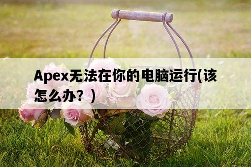 Apex無法在你的電腦運行，該怎么辦？-圖1