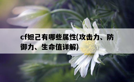 cf妲己有哪些屬性，攻擊力、防御力、生命值詳解-圖1