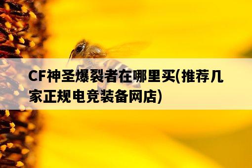 CF神圣爆裂者在哪里買，推薦幾家正規電競裝備網店-圖1