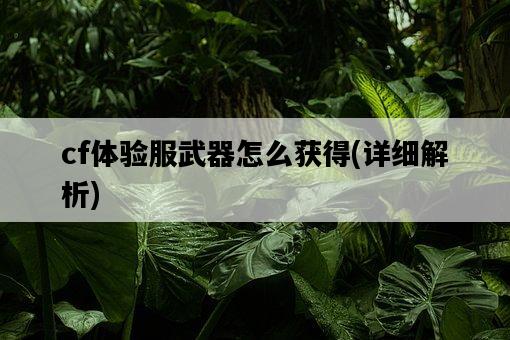 cf體驗服武器怎么獲得，詳細解析-圖1