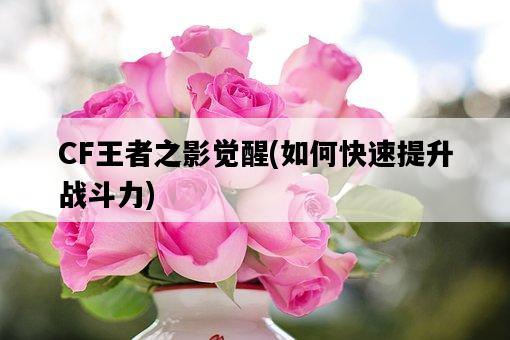 CF王者之影覺醒，如何快速提升戰斗力-圖1