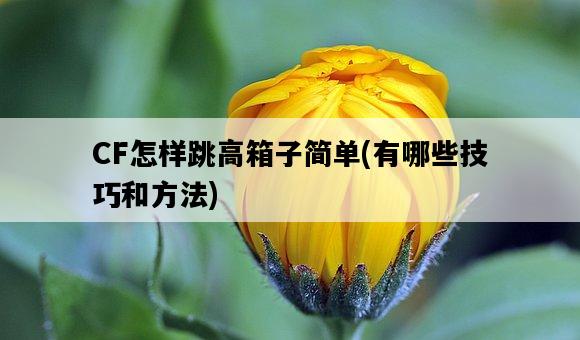 CF怎樣跳高箱子簡單，有哪些技巧和方法-圖1