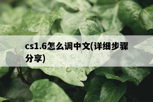 cs1.6怎么調中文，詳細步驟分享-圖1