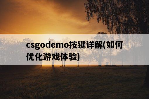 csgodemo按鍵詳解，如何優化游戲體驗-圖1