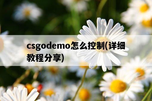 csgodemo怎么控制，詳細教程分享-圖1