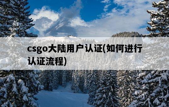 csgo大陸用戶認證，如何進行認證流程-圖1
