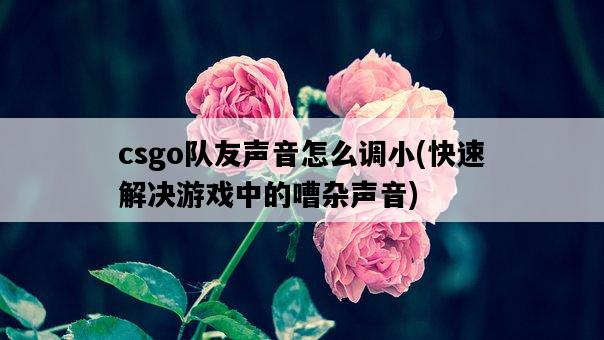 csgo隊友聲音怎么調小，快速解決游戲中的嘈雜聲音-圖1