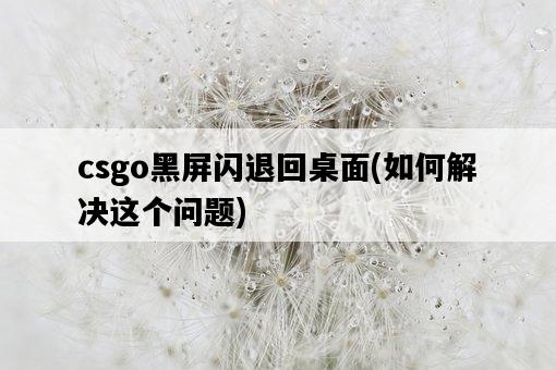 csgo黑屏閃退回桌面，如何解決這個問題-圖1