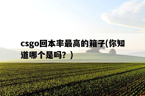 csgo回本率最高的箱子，你知道哪個是嗎？-圖1