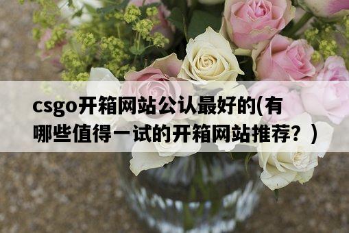 csgo開箱網站公認最好的，有哪些值得一試的開箱網站推薦？-圖1