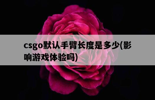 csgo默認手臂長度是多少，影響游戲體驗嗎-圖1