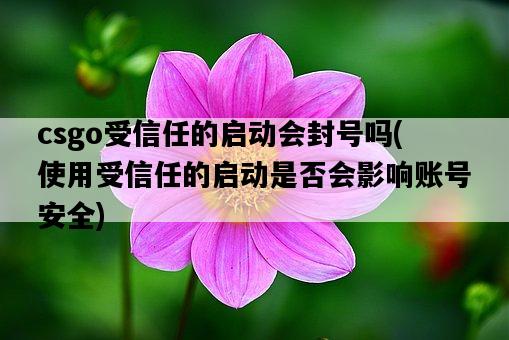 csgo受信任的啟動會封號嗎，使用受信任的啟動是否會影響賬號安全-圖1