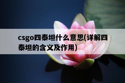 csgo四泰坦什么意思，詳解四泰坦的含義及作用-圖1