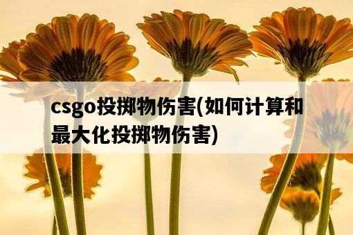 csgo投擲物傷害，如何計算和最大化投擲物傷害-圖1