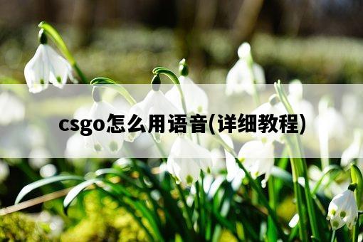 csgo怎么用語音，詳細教程-圖1