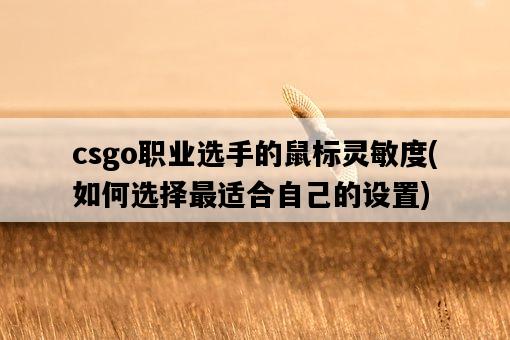 csgo職業選手的鼠標靈敏度，如何選擇最適合自己的設置-圖1