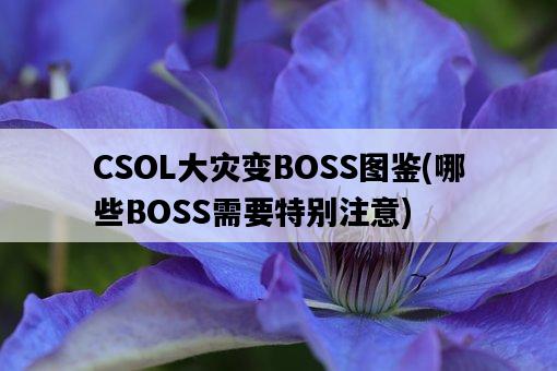 CSOL大災變BOSS圖鑒，哪些BOSS需要特別注意-圖1