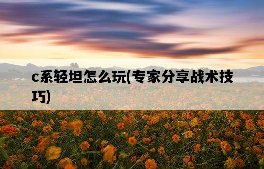 c系輕坦怎么玩，專家分享戰術技巧-圖1