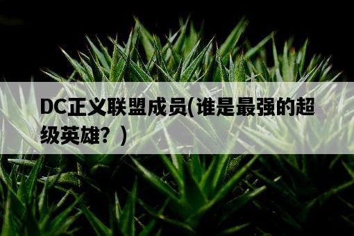 DC正義聯盟成員，誰是最強的超級英雄？-圖1