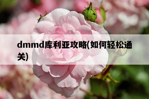 dmmd庫利亞攻略，如何輕松通關-圖1