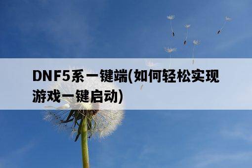 DNF5系一鍵端，如何輕松實現游戲一鍵啟動-圖1
