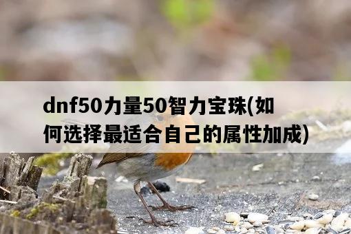 dnf50力量50智力寶珠，如何選擇最適合自己的屬性加成-圖1