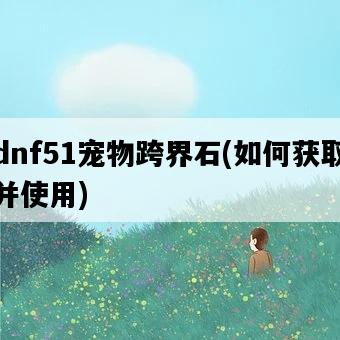 dnf51寵物跨界石，如何獲取并使用-圖1