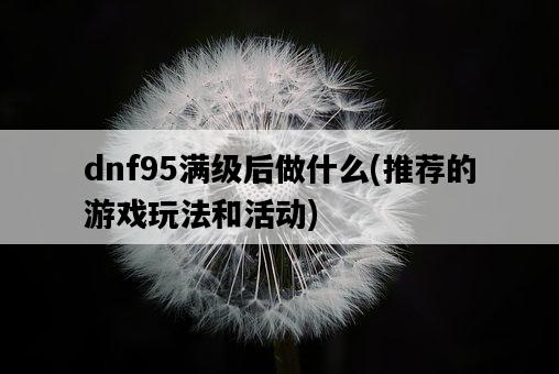 dnf95滿級后做什么，推薦的游戲玩法和活動-圖1