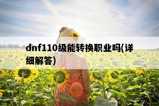 dnf110級能轉換職業嗎，詳細解答-圖1