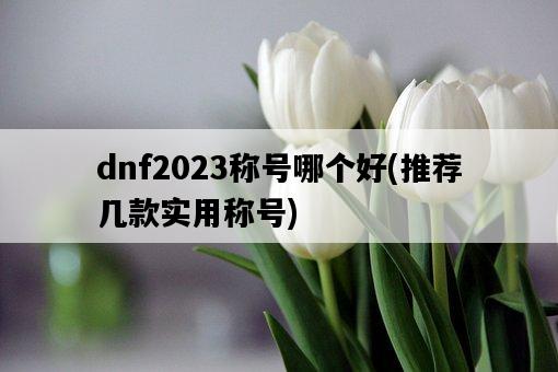 dnf2023稱號哪個好，推薦幾款實用稱號-圖1