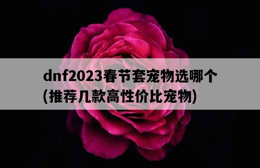dnf2023春節套寵物選哪個，推薦幾款高性價比寵物-圖1