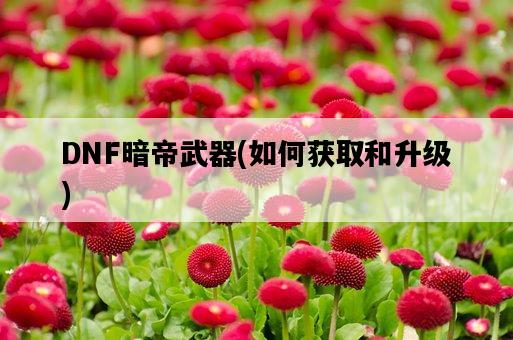 DNF暗帝武器，如何獲取和升級-圖1