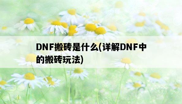 DNF搬磚是什么，詳解DNF中的搬磚玩法-圖1