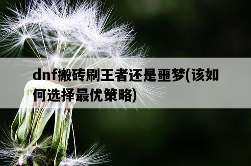 dnf搬磚刷王者還是噩夢，該如何選擇最優策略-圖1