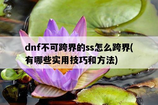 dnf不可跨界的ss怎么跨界，有哪些實用技巧和方法-圖1