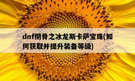 dnf徹骨之冰龍斯卡薩寶珠，如何獲取并提升裝備等級-圖1