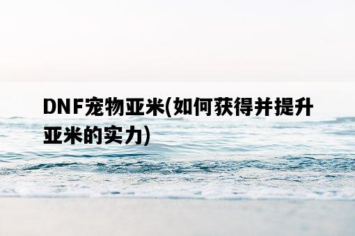 DNF寵物亞米，如何獲得并提升亞米的實力-圖1