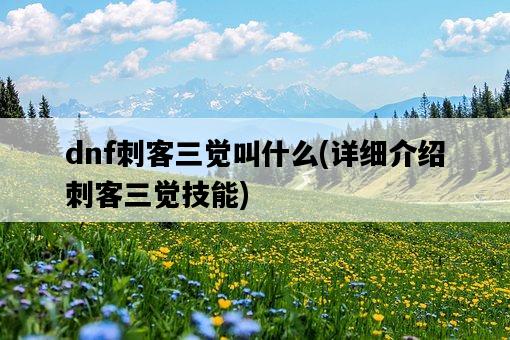 dnf刺客三覺叫什么，詳細介紹刺客三覺技能-圖1