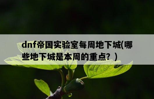 dnf帝國實驗室每周地下城，哪些地下城是本周的重點？-圖1