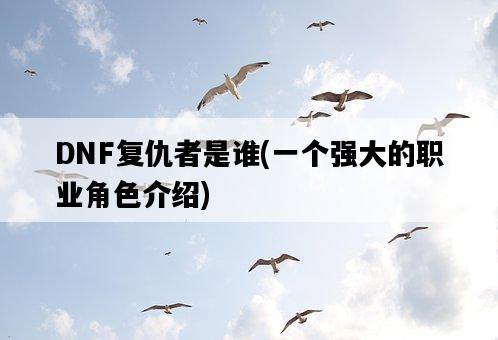 DNF復仇者是誰，一個強大的職業角色介紹-圖1