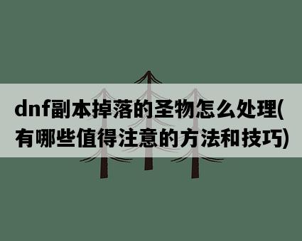 dnf副本掉落的圣物怎么處理，有哪些值得注意的方法和技巧-圖1