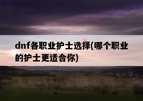 dnf各職業護士選擇，哪個職業的護士更適合你-圖1